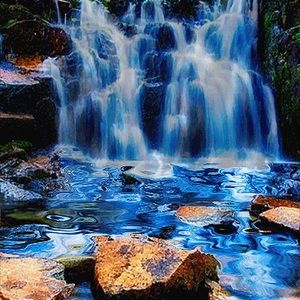 Meet your Posher, Jenifer